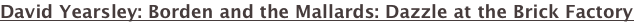 shapeimage_2_link_11