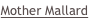 shapeimage_3_link_76