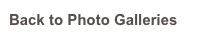 Back to Photo Galleries