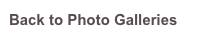Back to Photo Galleries